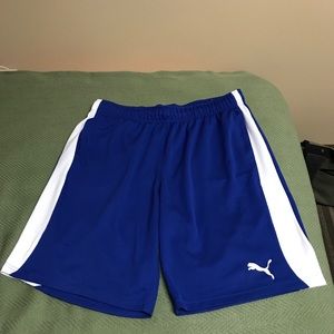 Puma athletic shorts